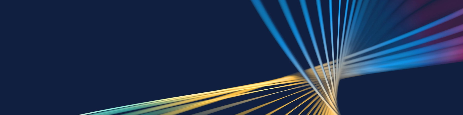 One Solution, Infinite Ways to Grow Your Firm