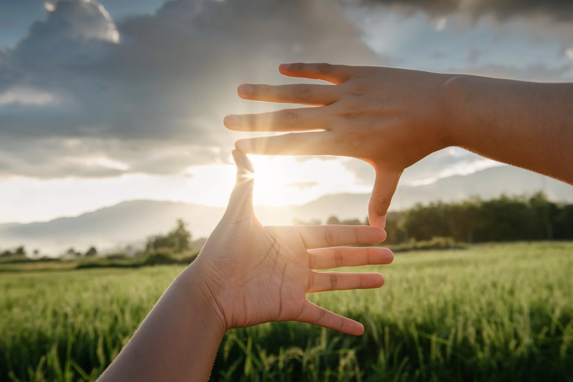 From Idea to Release