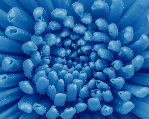 blog-block-img