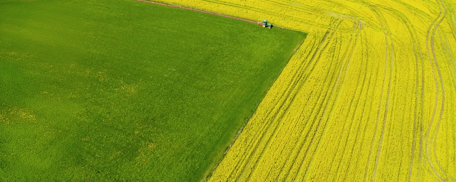 Scalable Growth in Wealth Management