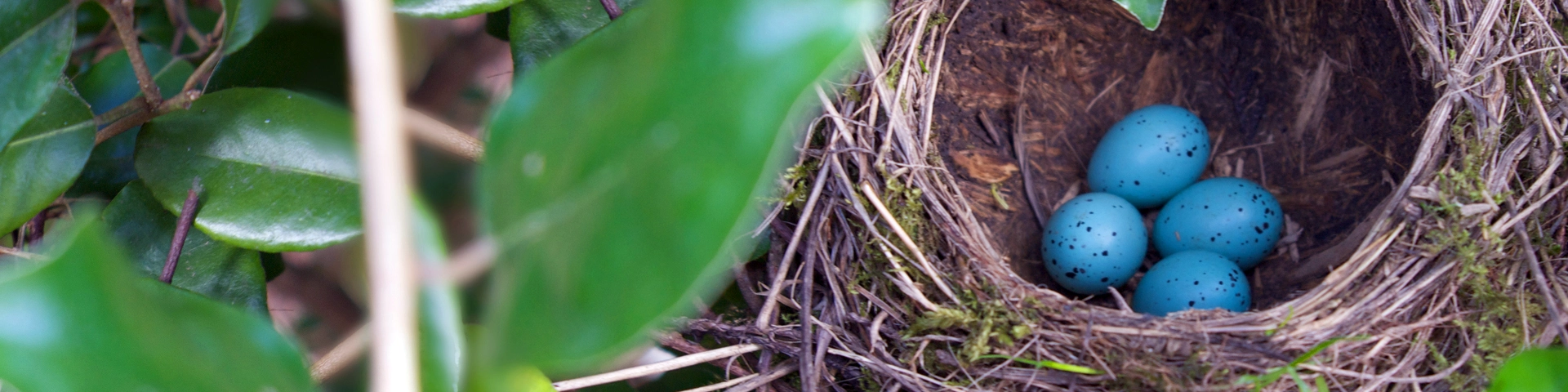 Clients With No Bills